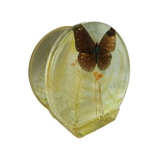 Vintage 70s Lucite/acrylic Butterfly & Dried Plants Napkin Mail Paper Holder